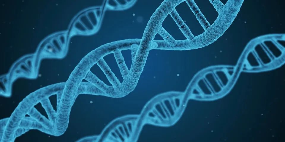 那些关于打飞机的说法，究竟是真是假？(图2)